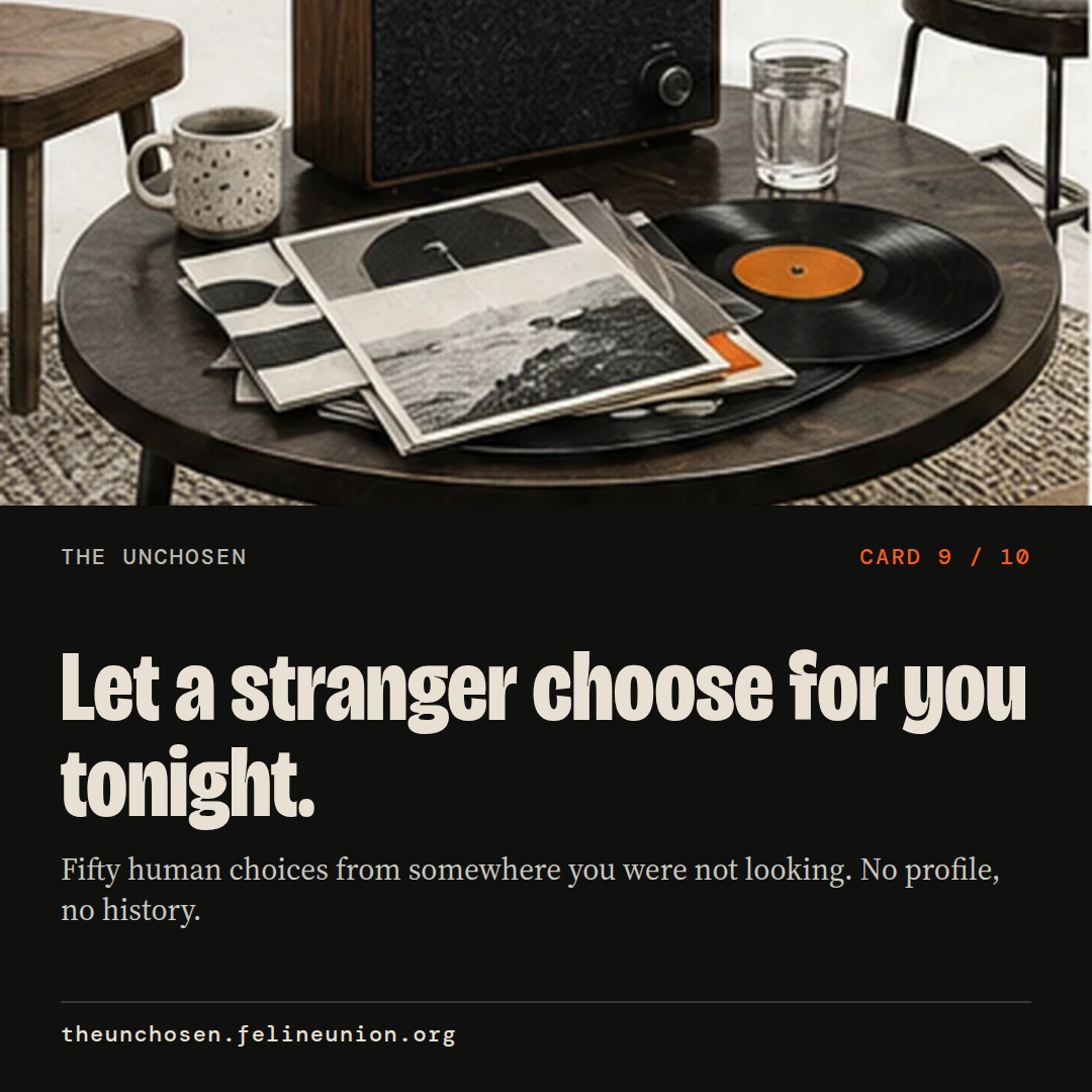 Let a stranger choose for you tonight. Fifty human choices from somewhere you were not looking. No profile, no history.
